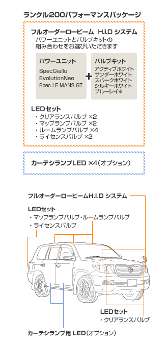 ウォーキングマシン: 2012年11月